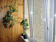 Деревянные окна на заказ в Минске - foto 0