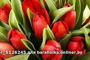 Тюльпаны свежие оптом к 8 марта. - foto 1
