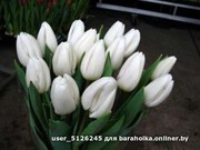 Тюльпаны свежие оптом к 8 марта. - foto 2