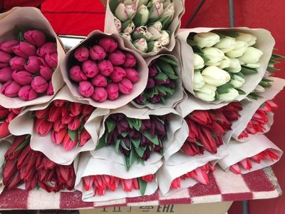 Белорусские тюльпаны оптом - main