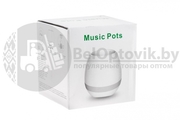 Музыкальный цветочный горшок Music Pots - foto 1