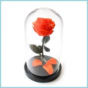 Роза в стеклянной колбе (28 см) - foto 1