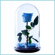 Роза в стеклянной колбе (28 см) - foto 2
