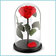 Роза в стеклянной колбе (28 см) - foto 3