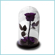 Роза в стеклянной колбе (28 см) - foto 4