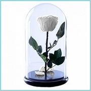 Роза в стеклянной колбе (28 см) - foto 5