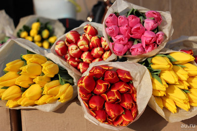 Тюльпаны оптом,  готовые букеты оптом в Минске - main