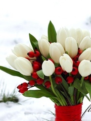 Великолепные Букеты тюльпанов к 8 марта оптом недорого - foto 0
