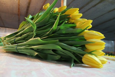 Букеты тюльпанов к 8 марта оптом и в розницу - main