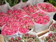 Оптовая закупка тюльпанов в ассортименте - foto 0