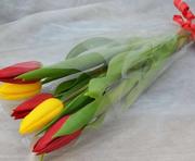 Оптовая закупка тюльпанов в ассортименте - foto 5