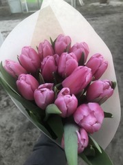 Букеты из тюльпанов Экстра класса к 8 марта,  предзаказ - foto 1