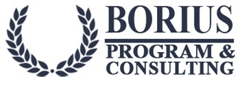 Программа Бориус - юридическая компания - main