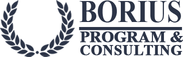Borius Program & Consulting - main
